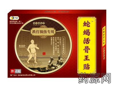 严量筋骨痛康贴剂（跌打损伤，腰腿痛）