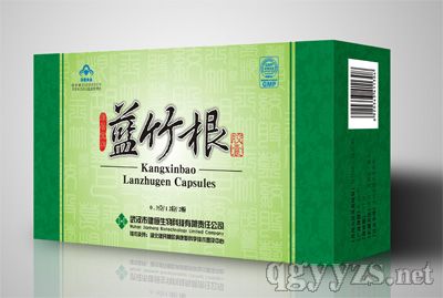 蓝竹根—“中国模式”示范产品