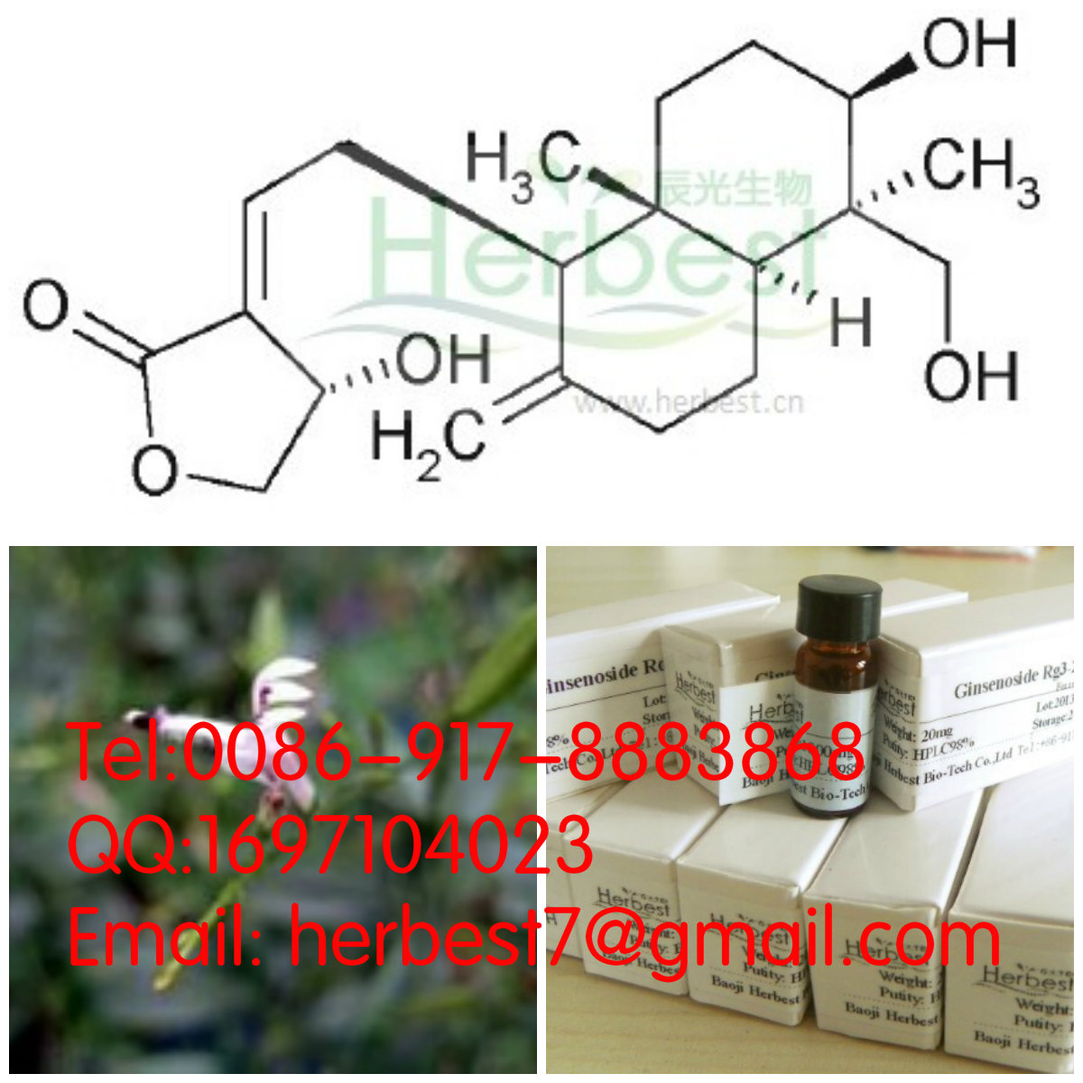 穿心莲内酯Andrographolide5508-58-7