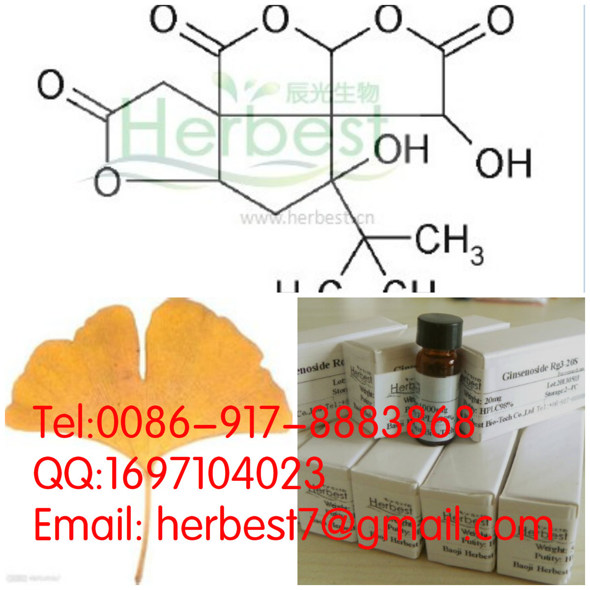 白果内酯Bilobalide33570-04-6