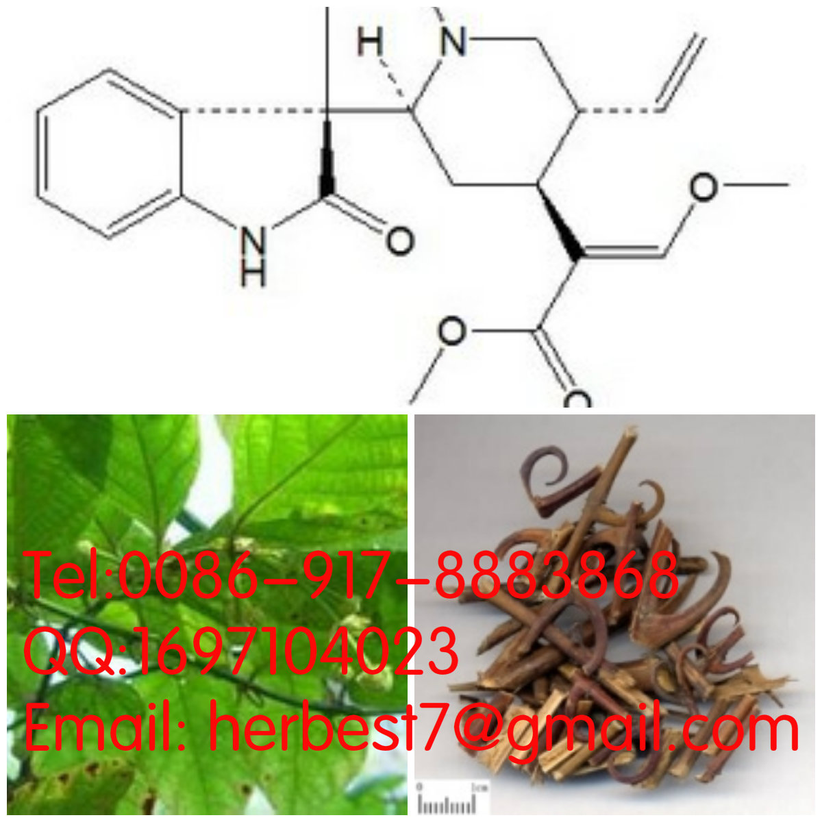 去氢钩藤碱Corynoxine6877-32-3