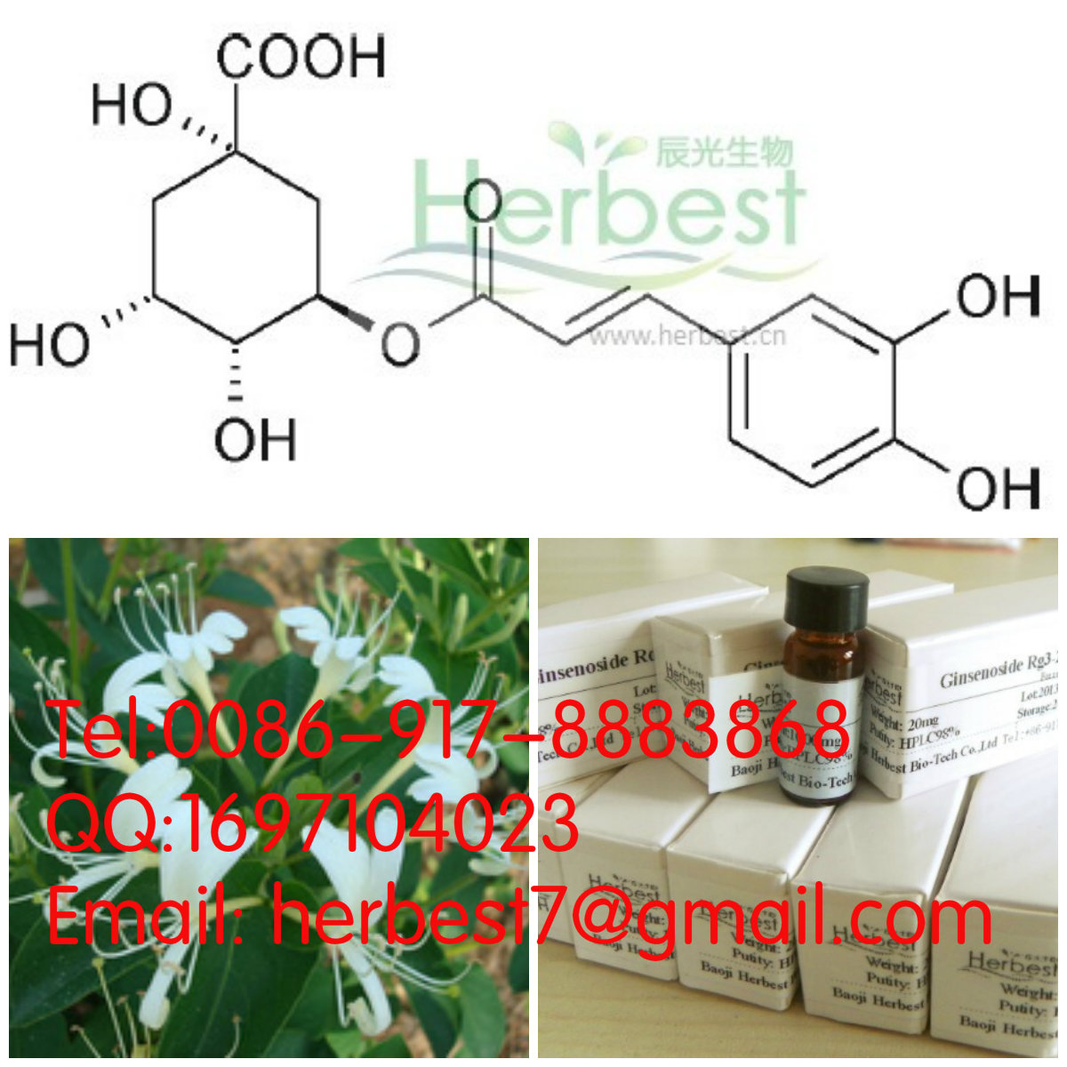 绿原酸 Chlorogenic acid327-97-9