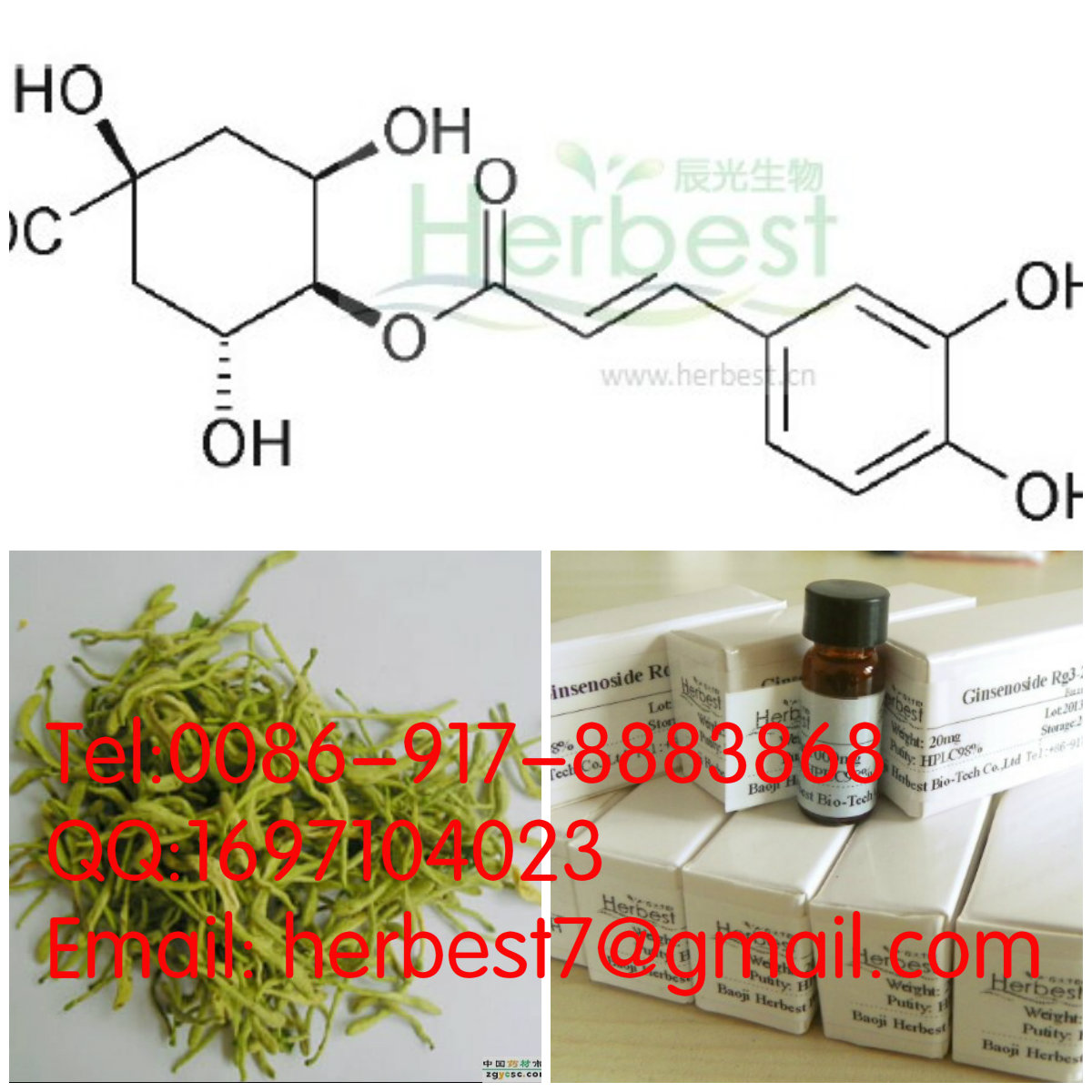 隐绿原酸Cryptochlorogenin Acid905-99-7